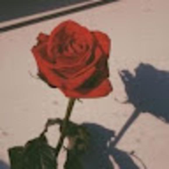 rabia_mohammed